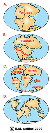 continental drift theory by alfred wegener