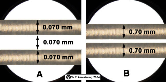 Diameter of a Human Hair  The Physics Factbook